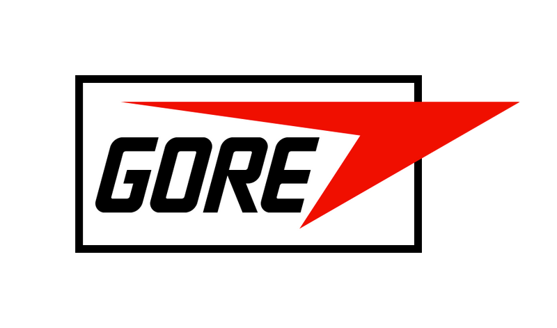 Gore Medical