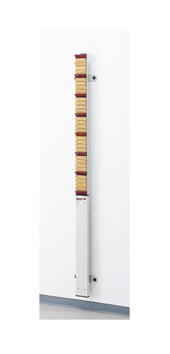 OG Wellness shoulder ladder and stall bar for upper limb rehabilitation, showing sturdy metal bars and adjustable features.