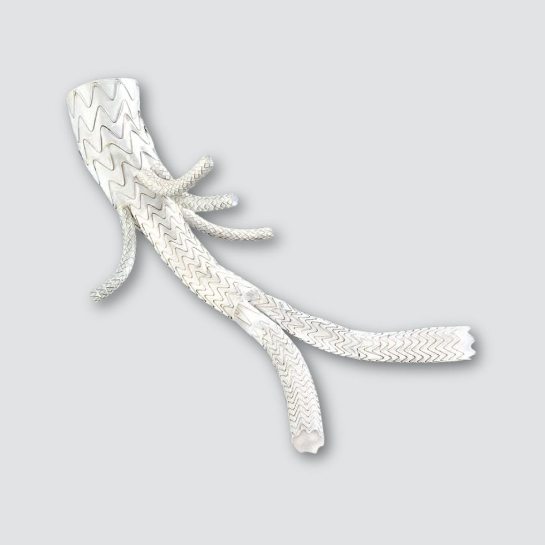Gore Medical EXCLUDER Thoracoabdominal Branch Endoprosthesis (TAMBE) device with metallic stent structure and delivery system.