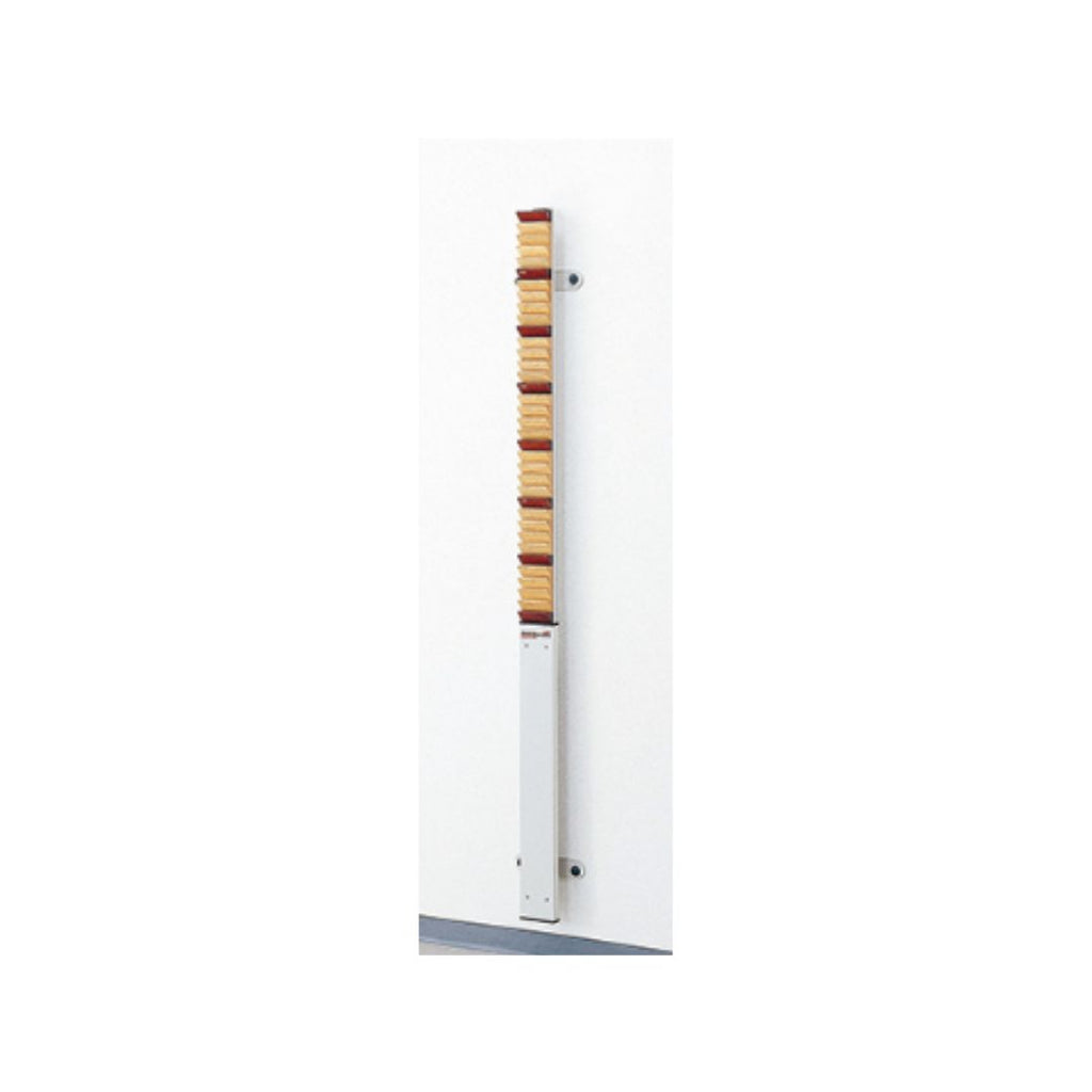 OG Wellness shoulder ladder and stall bar GH-351 for upper limb rehabilitation, featuring sturdy metal construction and multiple grip options.